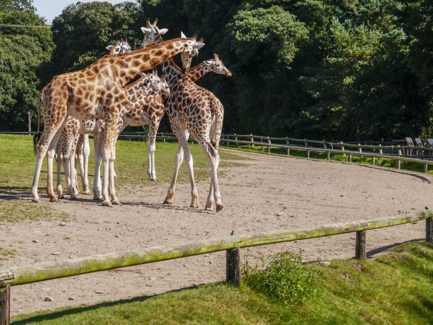 Gdansk: Oliwa Zoo with Tickets and Roundtrip Transportation - Oliwa Zoo, a 125-hectare wildlife park outside Gdansk