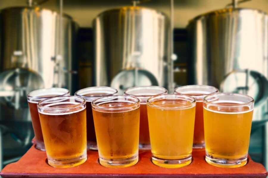 Gdansk: Polish Beer Tasting Tour - Snacks and Pairing: Why You Should Treat This Like a Meal