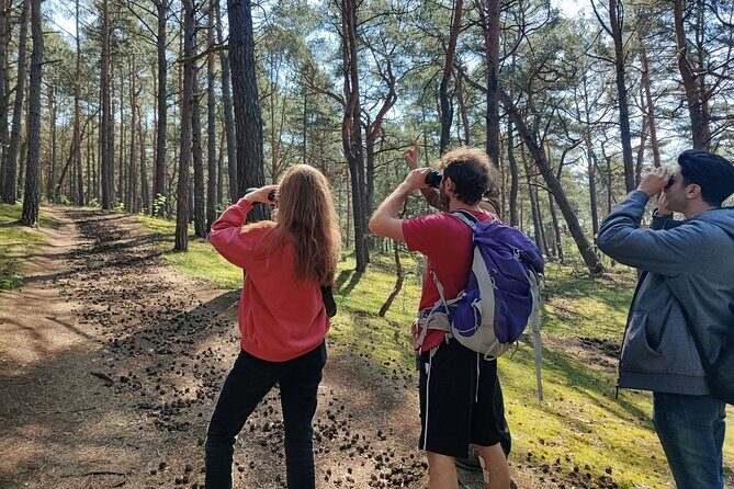 Nature Walk and Wildlife Tour in Sobieszewo Island - Key highlights you’ll actually notice