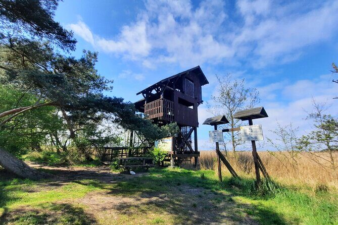 Nature Walk and Wildlife Tour in Sobieszewo Island - Why the towers beat a random self-guided walk