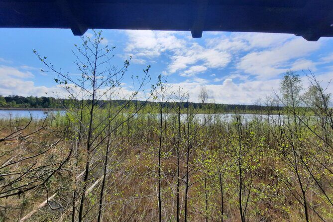 Nature Walk and Wildlife Tour in Sobieszewo Island - Getting ready: simple tips for a smoother day