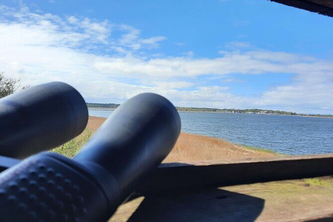 Nature Walk and Wildlife Tour in Sobieszewo Island - Should you book the Sobieszewo Island wildlife walk?