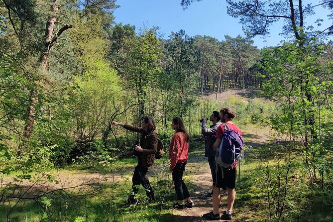 Nature Walk and Wildlife Tour in Sobieszewo Island - The walk itself: a stop-by-stop birdwatching route