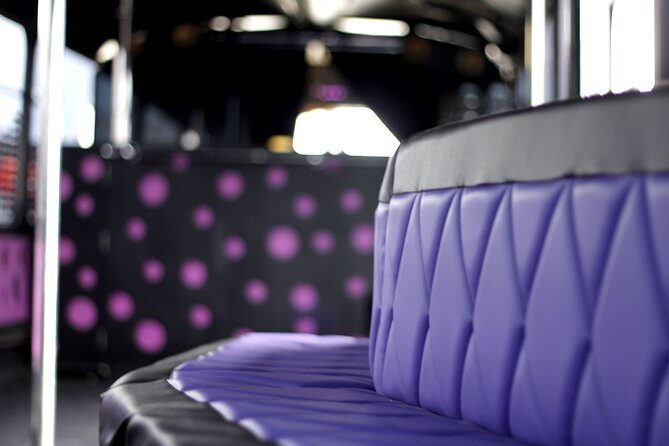 Private Party Bus & Nightclub Entry in Gdansk/Sopot - How the Party Bus Experience Really Feels (Not Just a Ride)