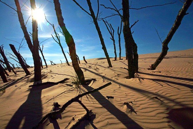 Slowinski National Park Private Tour - WWII traces in the dunes area: an unexpected layer of meaning