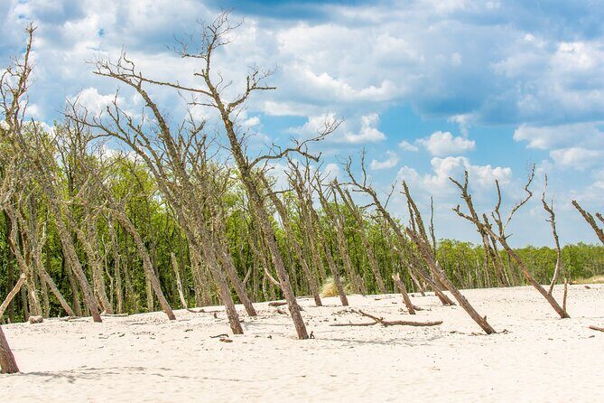 Slowinski National Park Private Tour - Leba Lake scenery: the payoff after sand and wind