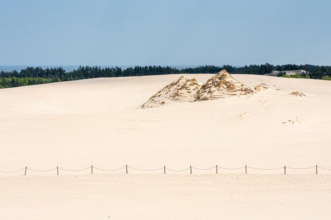 Slowinski National Park Private Tour - Hotel pickup in Gdansk, Sopot, and Gdynia: the real time-saver