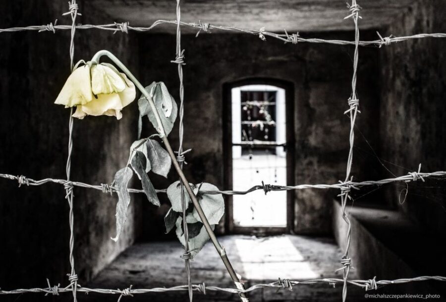 Stutthof Concentration Camp Half-Day Private Tour - Private guide experience: why a small group changes everything